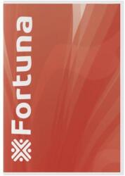Fortuna Füzet FORTUNA Basic A4 32 lapos 87-32 kockás (FO00077)
