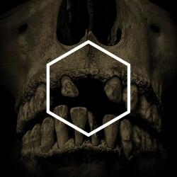 Various Others - facethemusic - 22 590 Ft