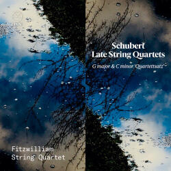 Fitzwilliam String Quarte Schubert: Late String - facethemusic - 8 390 Ft