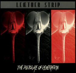 Leaether Strip Pleasure of Penetration