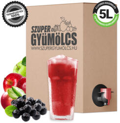 Szupergyümölcs Bio Fekete Berkenyelé / Arónialé / Alma 100% Gyümölcslé 5 Literes Kiszerelés Bag-in-Box