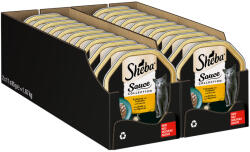Sheba 44x85g Sheba Frikassée pulyka & zöldség tálcás nedves macskatáp