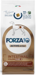 FORZA10 Active Line Dog 10kg Forza 10 Active Vet Diet Intestinal Colon Phase 2 száraz kutyatáp