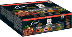 Cesar 48x100g Cesar Natural Goodness gabonamentes nedves kutyatáp szuperélelmiszerekkel: Terrine mix (baromfi, pulyka, marha, lazac)