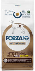 FORZA10 Active Line Dog 2x10kg Forza 10 Active Vet Diet Intestinal Colon Phase 1 száraz kutyatáp - zooplus - 70 890 Ft