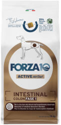 FORZA10 Active Line Dog 2x10kg Forza 10 Active Vet Diet Intestinal Colon Phase 1 száraz kutyatáp - zooplus - 65 090 Ft