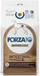 FORZA10 Active Line Dog 2x4kg Forza 10 Active Vet Diet Intestinal Colon Phase 1 száraz kutyatáp