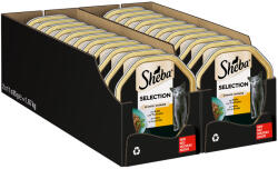 Sheba 22x85g Sheba borjú & pulyka szószban tálcás nedves macskatáp
