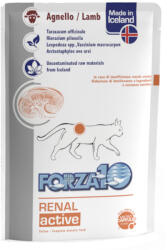 FORZA10 Active Line Cat 12x100g Forza10 Renal Actiwet Cat nedves macskatáp