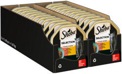 Sheba 44x85g Sheba Marha & pulyka szószban tálcás nedves macskatáp