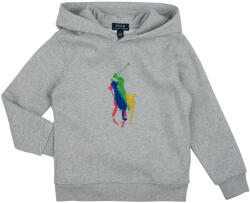 Ralph Lauren Hanorace Fete PO HOOD-KNIT SHIRTS-SWEATSHIRT Polo Ralph Lauren Gri EU S