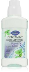 Bione Cosmetics Dentamint Nightly Reset szájvíz éjszakára 265 ml