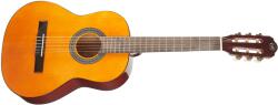 Tanglewood EM C2
