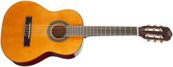 Tanglewood EM C1