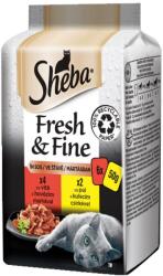 Sheba Fresh & Fine csirke és marhahús 3 x (6 x 50 g)