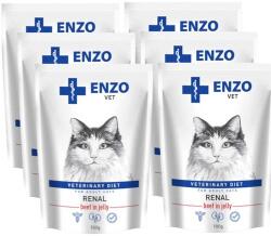  ENZO VET ENZO VET Renal marhahússal zselében macskáknak 6x100g