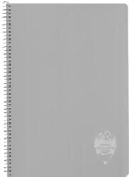 DACO Caiet A4 cu spira si coperta plastic Daco CT496AR, 96 file, 70 g/mp, Matematica, Gri (CT496AR/GRI)
