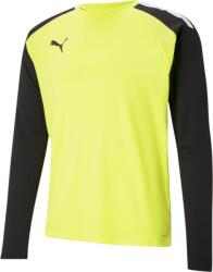 PUMA Bluza cu maneca lunga Puma teamPACER GK LS Jersey 70493342 Marime M (70493342)