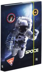 KARTON P+P Doboz notebookokhoz A4 Space