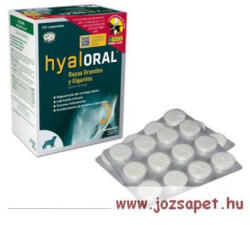 Hyaloral Large tabletta, Opko 120db