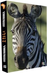 KARTON P+P Doboz A4-es Zebra notebookokhoz