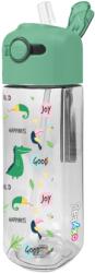 KARTON P+P Palack OXY SMILE 450 ml Dino