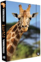 KARTON P+P Doboz notebookokhoz A4 Jumbo Giraffe