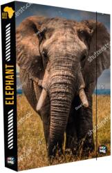 KARTON P+P Doboz notebookokhoz A4 Jumbo Slon