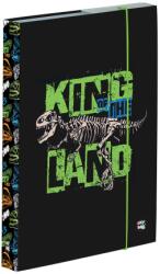 KARTON P+P Doboz notebookokhoz A5 Dinoszaurusz