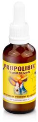 PROPOLIBIK 50ml
