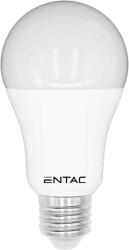 Entac LED gömb izzó 12W E27 NW 4000K (LLG27-12W-NW) (LLG27-12W-NW)