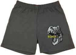 Asti Fiú pamut rövidnadrág dinoszauruszos mintával - pindurka