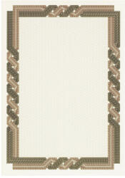  Сертификат Спирала А4 115 g/m2 25 л. Каф и беж (1111099-DSD1059) - homeshop