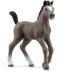 Schleich - Állat - Selle Français csikó