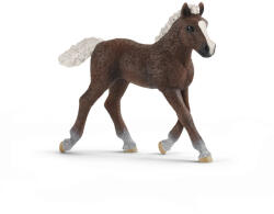 Schleich - Animal - mânz de rasă Schwarzwald (4059433039589)