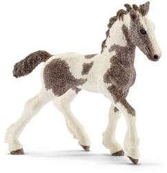 Schleich - Animal - mânz Tinker (4055744027864)