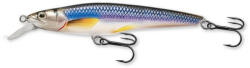 LIVETARGET Rainbow Smelt Jerkbait Silver/black 91mm 9g Suspend (e-lt205702)