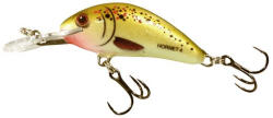 Salmo Wobbler Hornet H4f D (e-84414106)