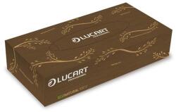 Lucart Kozmetikai kendő, 2 rétegű, 100 db, LUCART "EcoNatural", barna (841073)