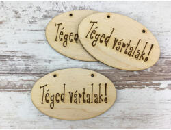  Natúr fa - "Téged vártalak! " ovál tábla 5, 5x9cm 3db/csomag - csinaldmagadshop