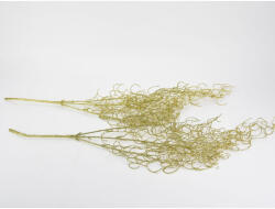  Hosszúlevelű asparagus csillámos arany 2db/csomag - KIFUTÓ - csinaldmagadshop