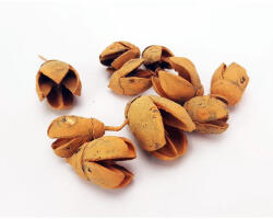 Bakuli termés mandarin 10db/csomag - csinaldmagadshop
