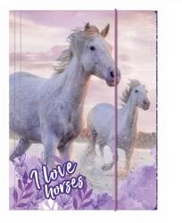 DERFORM Lovas gumis mappa A4-es - Vágta a vízben