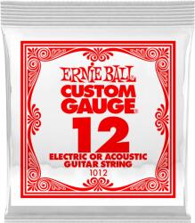 Ernie Ball 1019 Plain Steel Single . 012