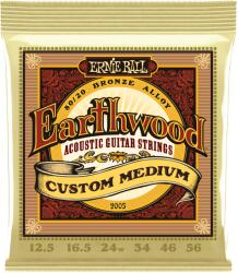 Ernie Ball 2005 Earthwood 80/20 Bronze Strings Custom Medium