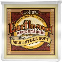 Ernie Ball 2045 Earthwood Silk & Steel Soft