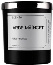 Scenta Home&Lifestyle Arde-mă Încet! Lumanari 220 ml