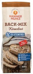 Hammer Muhle Premix pentru Paine Multicereale cu Seminte, fara Gluten, 500 g, Hammer Muhle