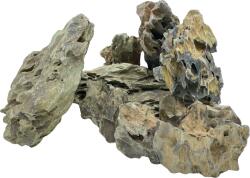 INVITAL Dragon Stone 7286g (ID Z01737)