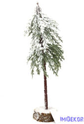 Fa talpas havas fenyő 40cm